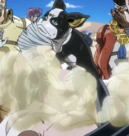 Iggy Farts