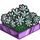 Chrome Daisy Bed-icon.png