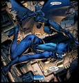 Catwoman 0014