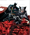 Catwoman 0015