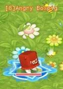HKO Angry Boxpig010.JPG