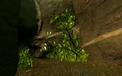Fallen Rock Cave