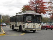 Kingston CitiBus 052