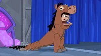 Stacy in Horse Costume