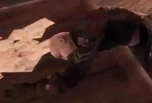 FableIII clarence