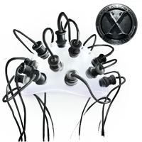 Huge item cerebro 01.png