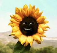 AOFlowerPower