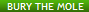 Bury the mole mini.png