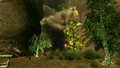 Angel Cave.jpg