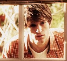 Toby Through Window