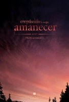 BreakingDawnSpanishPoster