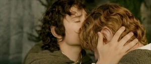 Sam frodo