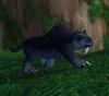 JungleCat