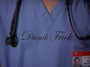 6x20-Dumb Frick