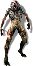 Tw2 journal rotfiend