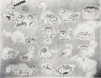 Cat6