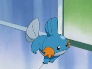 Stephanie Mudkip