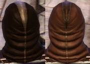 Leather Orange Dark Dye