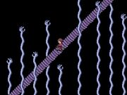 Hands-and-Stairs-yume-nikki-14649648-320-240-1