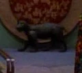 Ferenginar mammal.jpg
