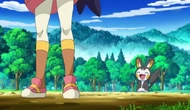EP688 Iris y Emolga