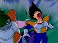 Zarbon 19