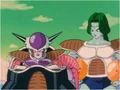 Zarbon 22