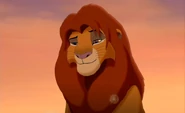 Simba12
