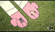 Shrunken Clothes