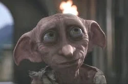 Dobby.jpg