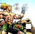 Aquaman 0034
