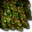 Tw2 ingredient dragonscales