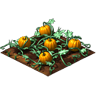 Crop Pumpkin Grown SW icon.png