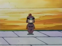 Bomber Ninja