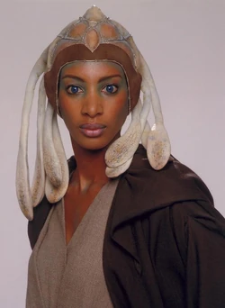 Adi Gallia2.jpg