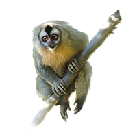 Huge item owlmonkey 01.png