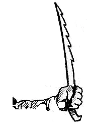 Scitrok-GG8p85