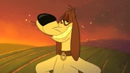 Barnyard Dawg