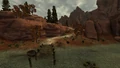 Wind Wall Docks.jpg