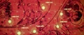 Positronic signature.jpg