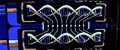 Dna match.jpg