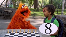 Murray8