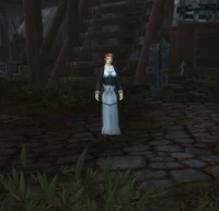 DuskhavenVillager