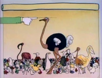 NobleOstrich.jpg