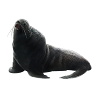 Huge item furseal 01.png