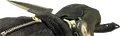 Knife MW2