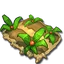 Farm