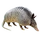 Item threebandedarmadillo 01