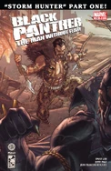Black Panther The Man Without Fear Vol 1 519
