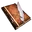 Tw2 questitem captainslog